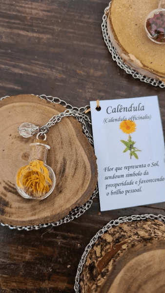 Fitocolar difusor Calêndula