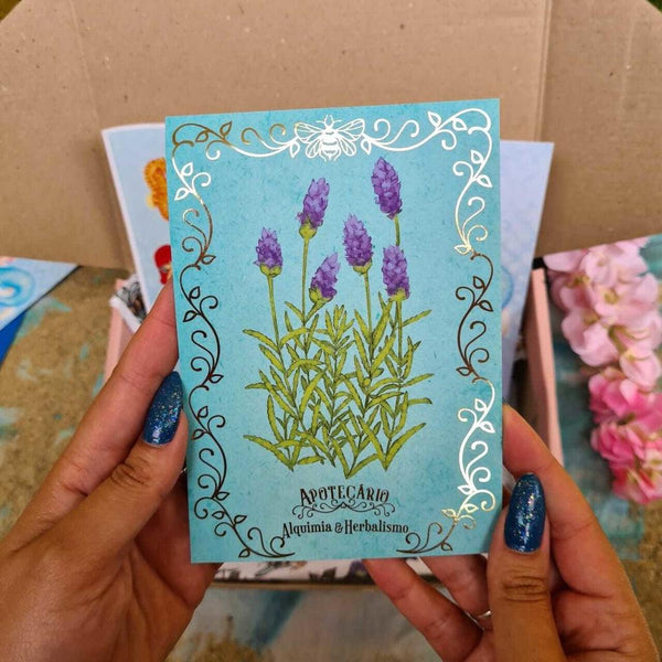 Herbal Box - Sereias (Adesão Única)