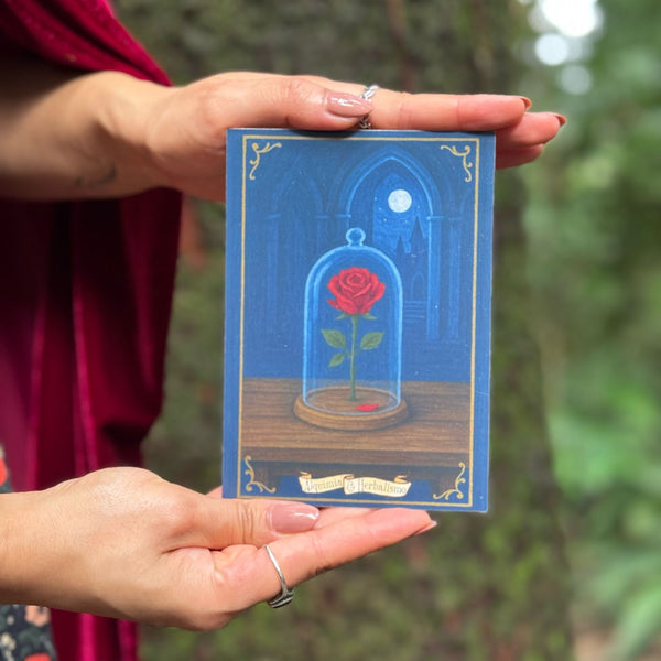 Cards Colecionáveis Fairytale