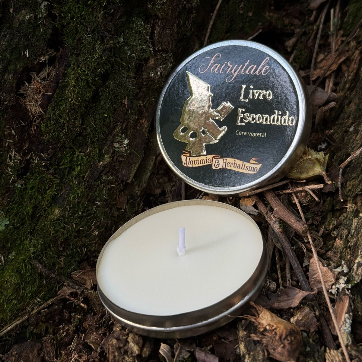 Vela Aromática "Livro Escondido"
