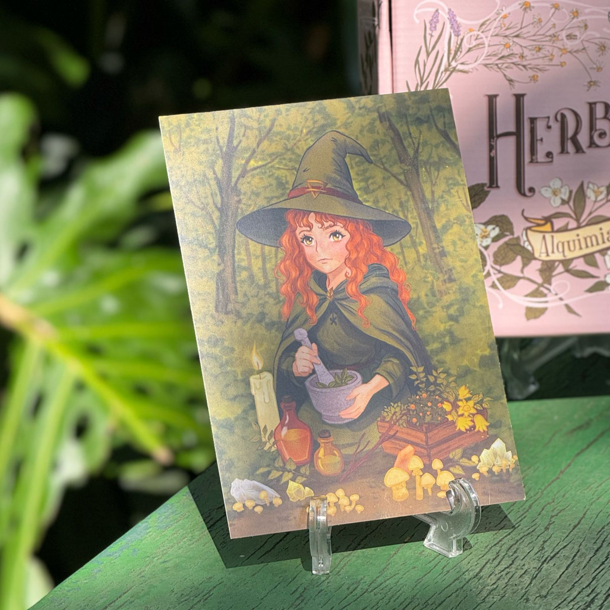 Herbal Box - Bruxa da Floresta