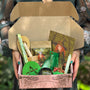 Herbal Box - Bruxa da Floresta