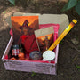 Herbal Box - Bruxa do Fogo