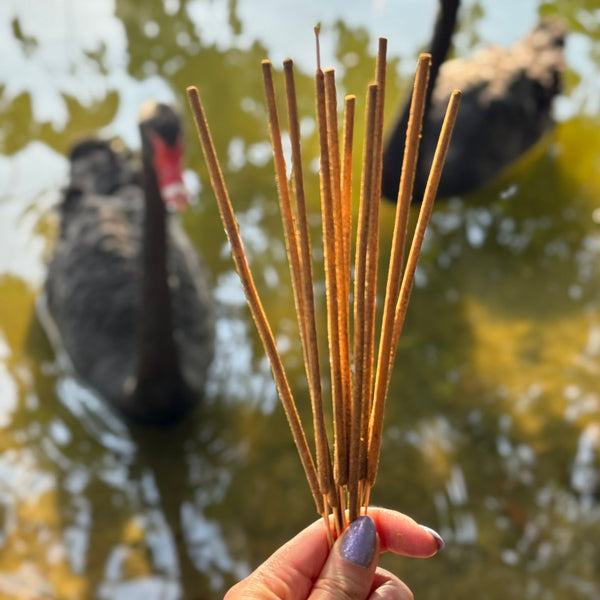 Kit 2 Incensos Premium Alfazema