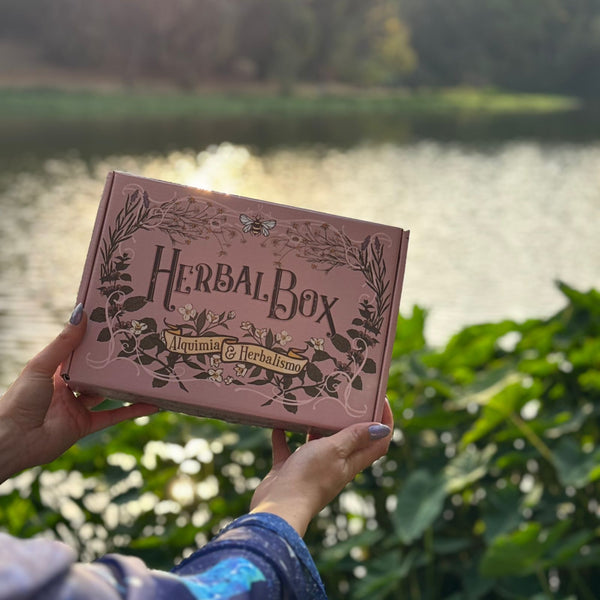 Herbal Box - Bruxa da Água
